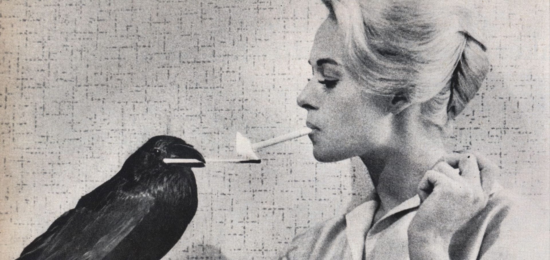  Mariana Colín cover