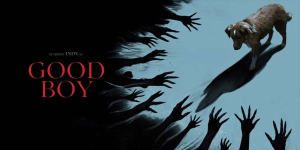 Review: Good Boy